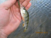IMG_0684.JPG