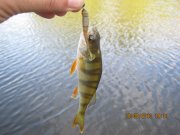 IMG_0685.JPG