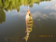 IMG_0686.JPG