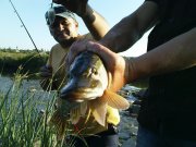 DSC08575.JPG