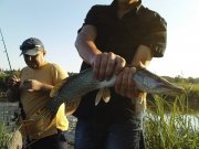 DSC08576.JPG