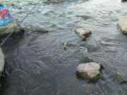 DSC08582.JPG
