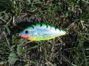 DSC08590.JPG