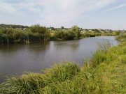DSC08587.JPG