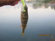 IMG_0691.JPG