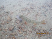IMG_0693.JPG