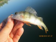 IMG_0694.JPG