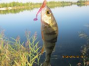 IMG_0695.JPG