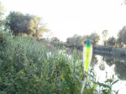 DSC08617.JPG