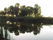 DSC08621.JPG