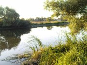 DSC08614.JPG