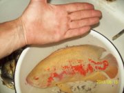 100_6738.JPG