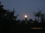IMG_0699.JPG