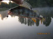 IMG_0702.JPG