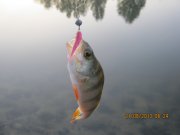 IMG_0703.JPG