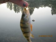 IMG_0704.JPG