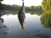 IMG_0819.JPG