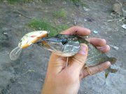 200820131204.jpg