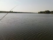 DSC08628.JPG