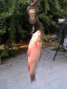 IMG_20130821_180134.jpg