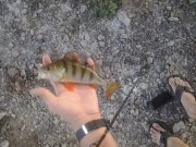 2013-08-21 18.58.20.jpg