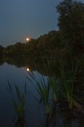 IMG_0425_resize.jpg