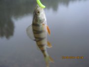 IMG_0710.JPG