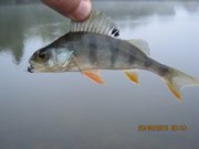 IMG_0711.JPG