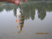 IMG_0712.JPG