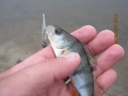 IMG_0713.JPG