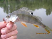 IMG_0716.JPG