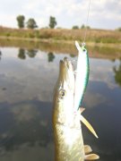 DSC01444.JPG