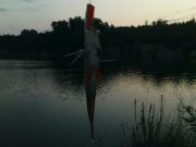 DSC08638.JPG