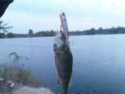 DSC08642.JPG