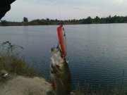 DSC08643.JPG