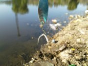 DSC08647.JPG
