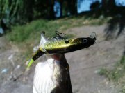 DSC08657.JPG
