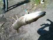 DSC08649.JPG