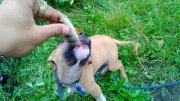 WP_20130824_008.jpg