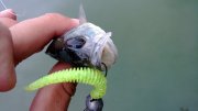 WP_20130825_006.jpg