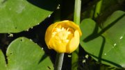 DSCN1726.jpg