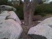 IMG_20130829_135642.jpg