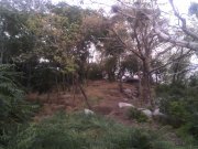 IMG_20130829_135656.jpg