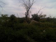 IMG_20130829_135705.jpg