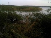 IMG_20130829_135833.jpg