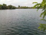 DSC08695.JPG