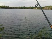DSC08696.JPG
