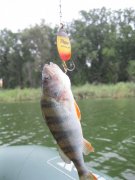IMG_0102.JPG