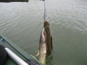 IMG_0116.JPG