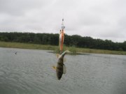 IMG_0118.JPG